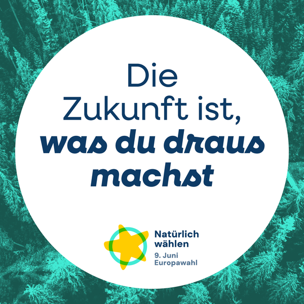Europawahl Sharepic