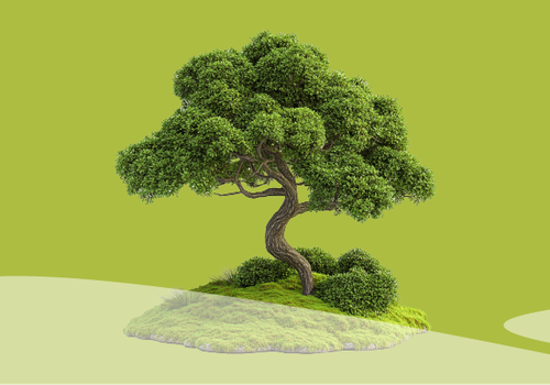 Thumbnail Unsere neue Webseite: nachhaltig & zukunftsfit