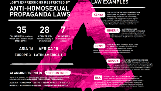 Freemuse 2020 LGBT Infographics 24 Nov 2
